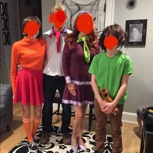 Handmade Daphne costume, wig, headband, dress and scarf. Medium.